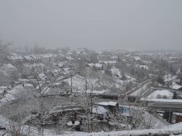 Monobon WM - Winterberg 2024